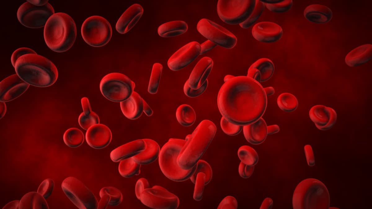 The new drug application for imetelstat is based on findings from the phase 3 IMerge trial, in which the telomerase inhibitor outperformed placebo in the treatment of transfusion-dependent anemia.