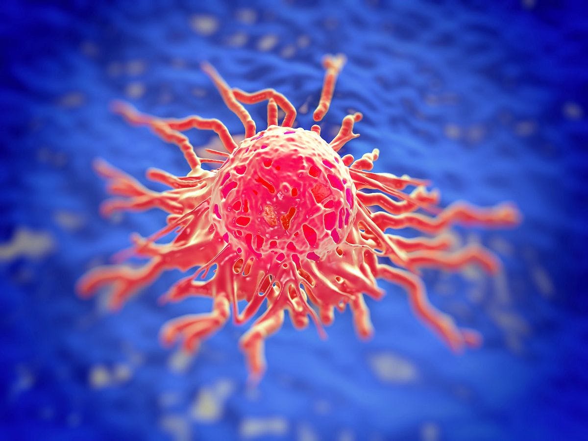 According to Thomas Herzog, MD, more studies are underway investigating nab-Sirolimus to treat malignant PEComa mTOR-driven cancers of gynecologic origin.