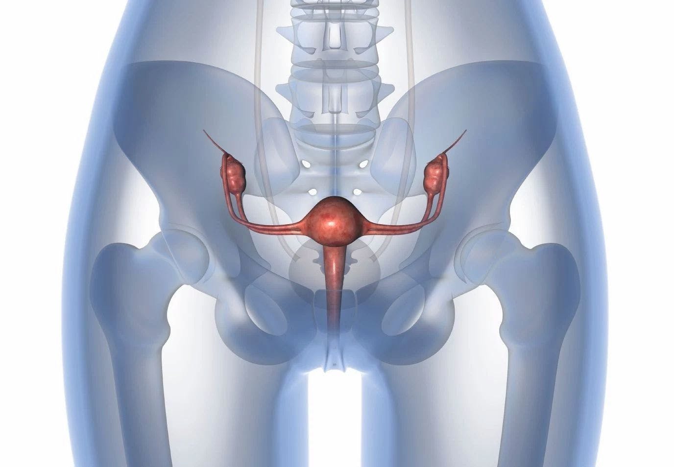 Data from the DUO-E trial support potential new durvalumab-based treatment options for patients with advanced or recurrent endometrial cancer.