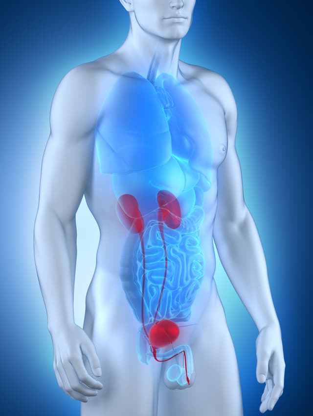 TAS-200 plus cetrelimab did not yield significant results vs chemoradiation in muscle-invasive bladder cancer.