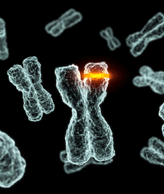 Resistance Mutations Identified in ER-Positive Metastatic Breast Cancer