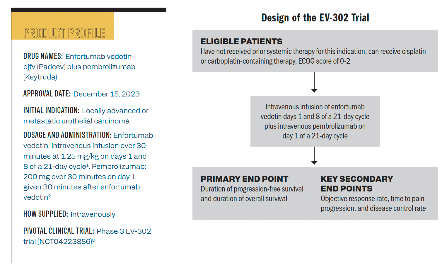 The product profile of enfortumab vedotin and trial design of the phase 3 EV-302 trial. 