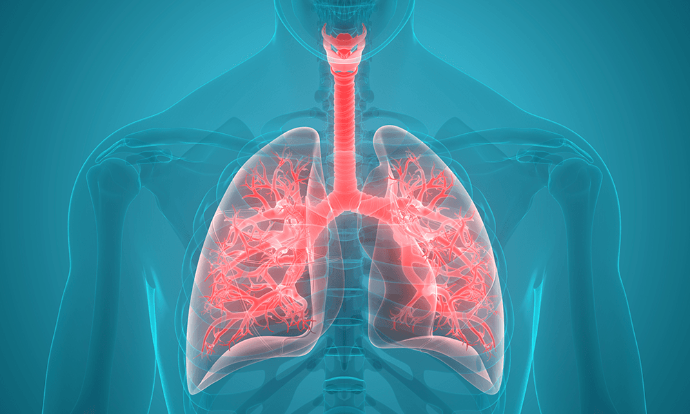 “These updated data further support FDA-approved perioperative durvalumab as a new treatment option for patients with resectable NSCLC,” according to lead study author John V. Heymach, MD, PhD.