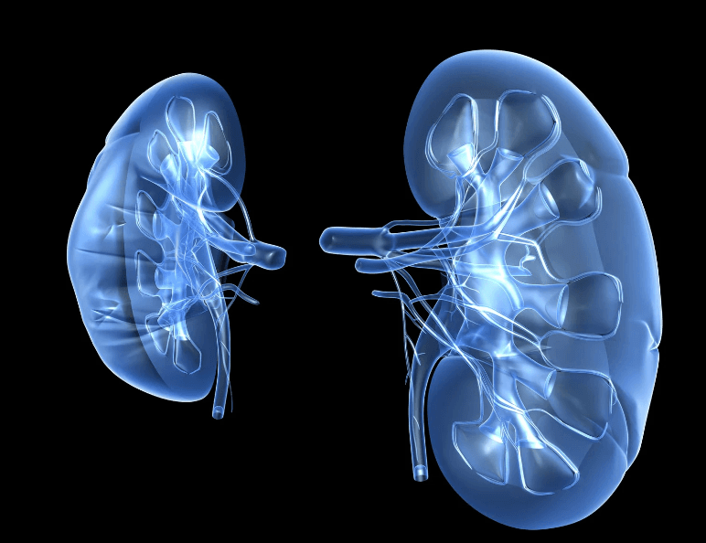 “In LITESPARK-005, PFS and response rates favored belzutifan vs everolimus across [several patient subgroups, including] IMDC risk, number of prior lines [of therapy], and number of prior VEGF TKIs, specifically,” said Laurence Albiges, MD, PhD.