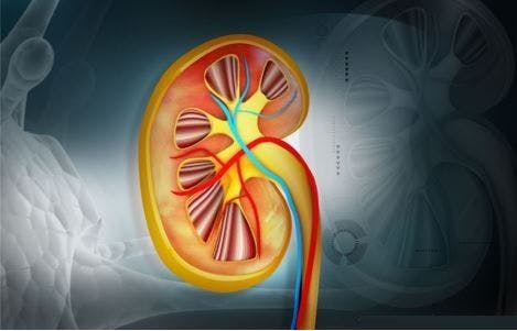 A minimally invasive cryoablation technology system designed to treat patients with kidney tumors and elicit an 89.65% recurrence-free rate.