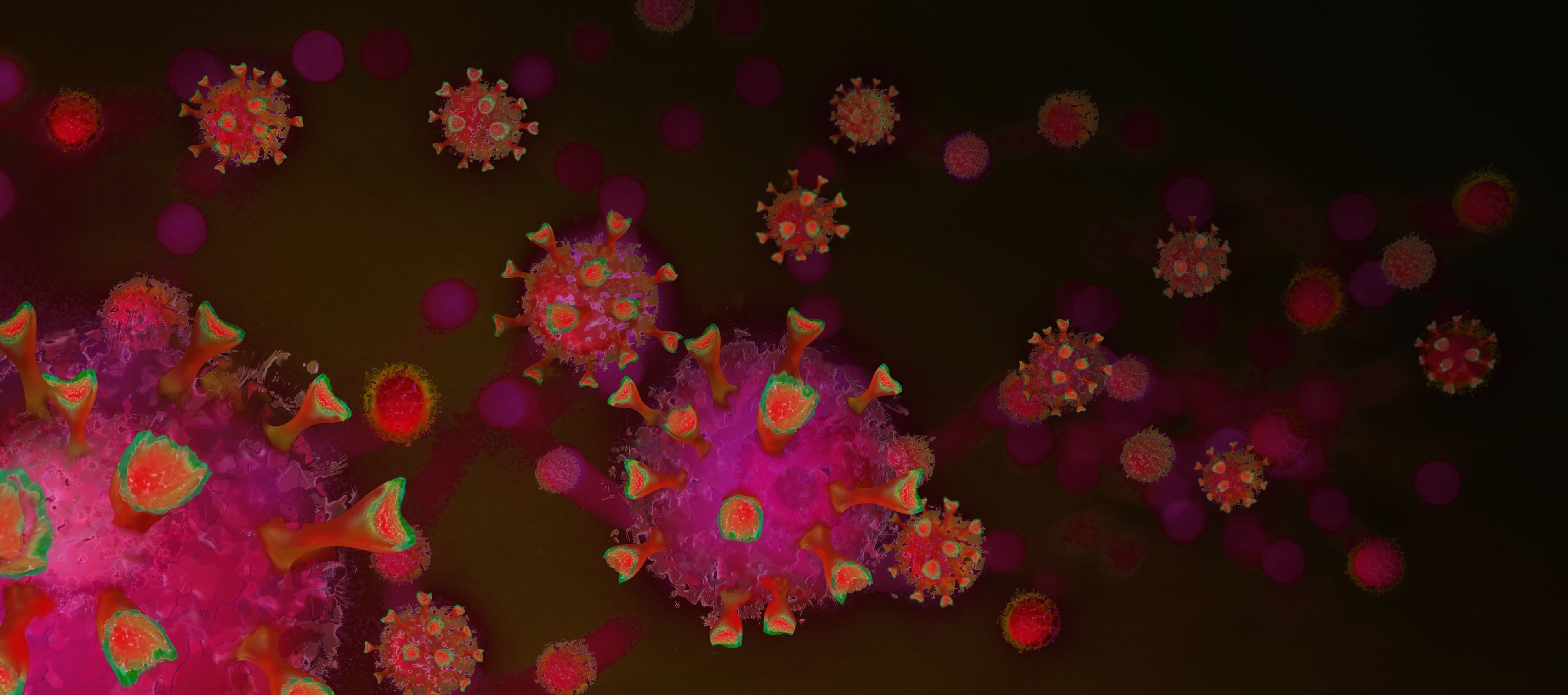 coronavirus