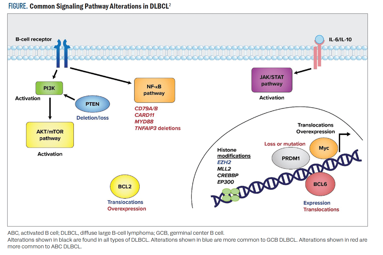 FIGURE. Common Signaling Pathway Alterations in DLBCL2