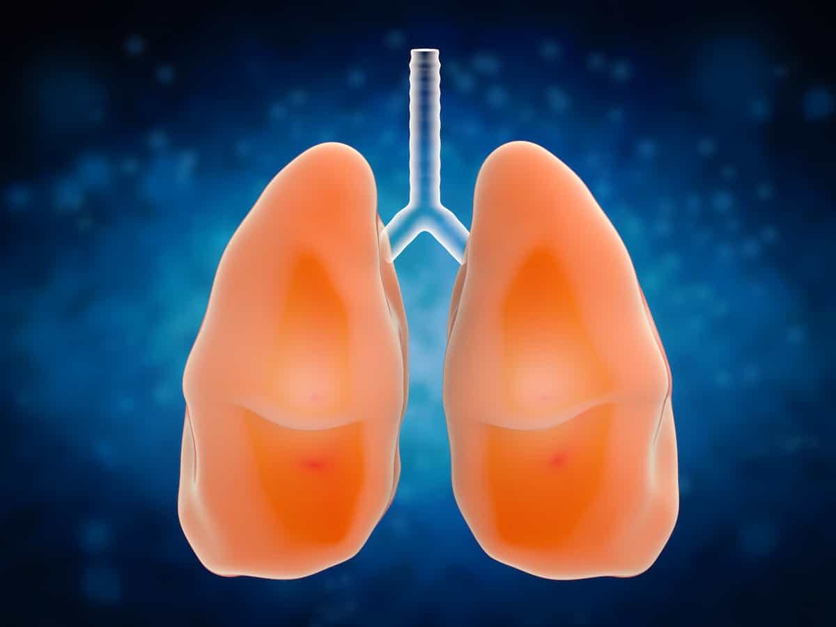 The FDA is expected to decide on approving osimertinib for EGFR-mutated non–small cell lung cancer in the fourth quarter of 2024.