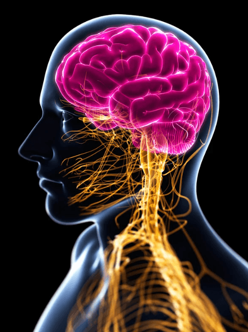 A PDUFA date has been set for February 28, 2025, for the potential approval of mirdametinib in neurofibromatosis type 1-associated plexiform neurofibromas.