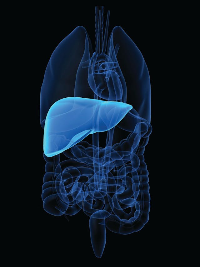 Investigators of the HEPATORCH trial will present additional data on toripalimab plus bevacizumab in this population at a future academic conference.